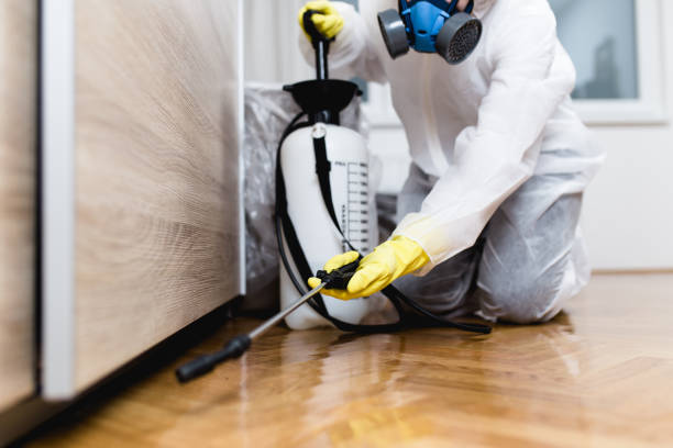 Best Mosquito Control Services  in Sartell, MN