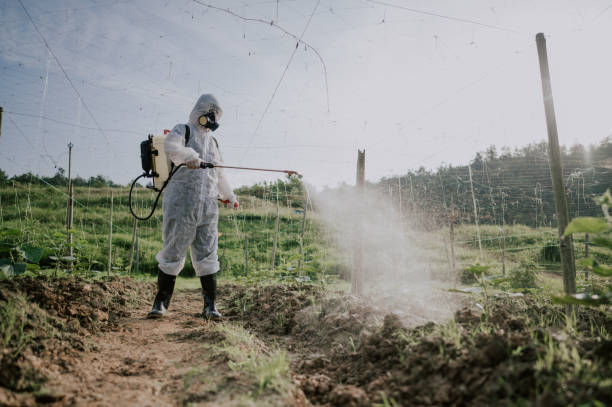 Best Commercial Pest Control Services  in Sartell, MN