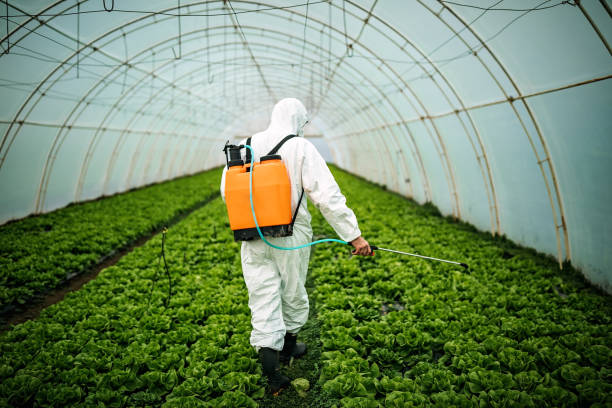 Reliable Sartell, MN Pest Control Solutions