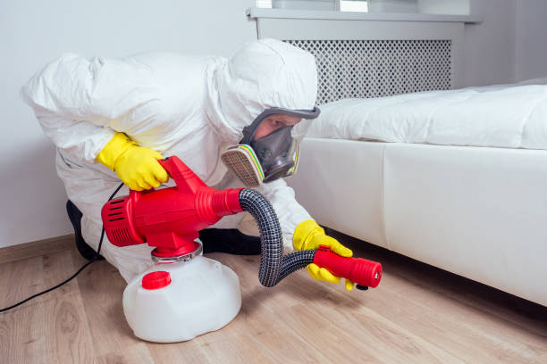 Best Local Pest Control Services  in Sartell, MN