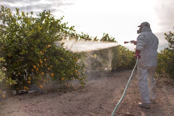 Wildlife Control Services in Sartell, MN