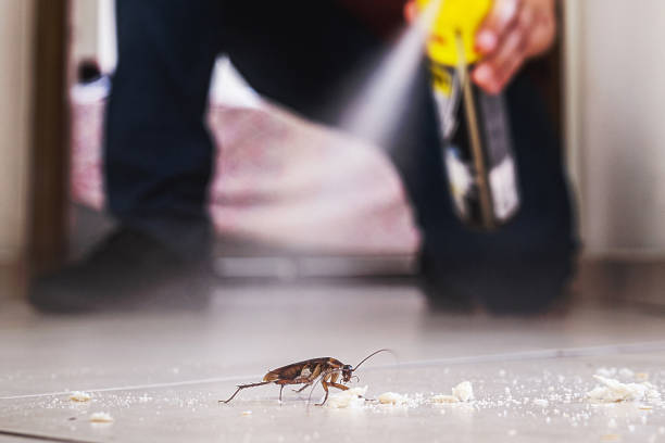 Sartell, MN Pest Control Company